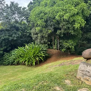 Aluna , Petit-Bourg Guadeloupe